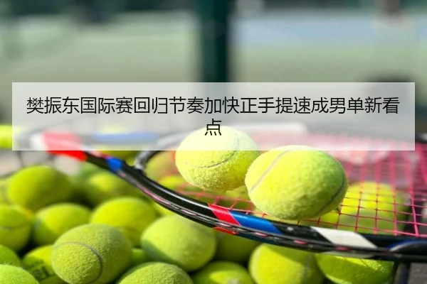 樊振东国际赛回归节奏加快正手提速成男单新看点