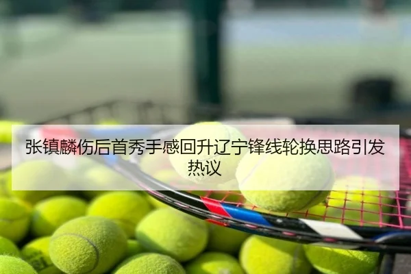 张镇麟伤后首秀手感回升辽宁锋线轮换思路引发热议