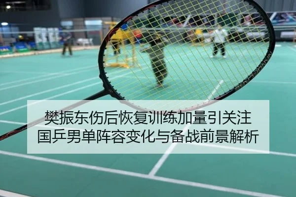 樊振东伤后恢复训练加量引关注 国乒男单阵容变化与备战前景解析